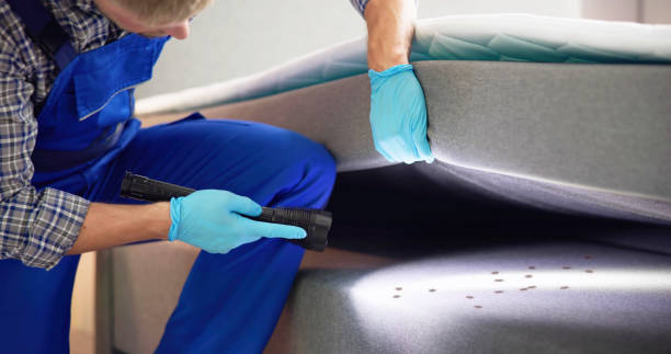 Best Rat Extermination Near Me  in Lake Como, NJ