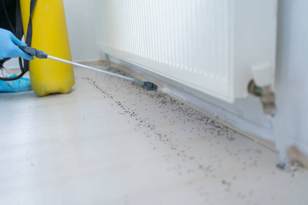 Best Wasp Removal Services  in Lake Como, NJ