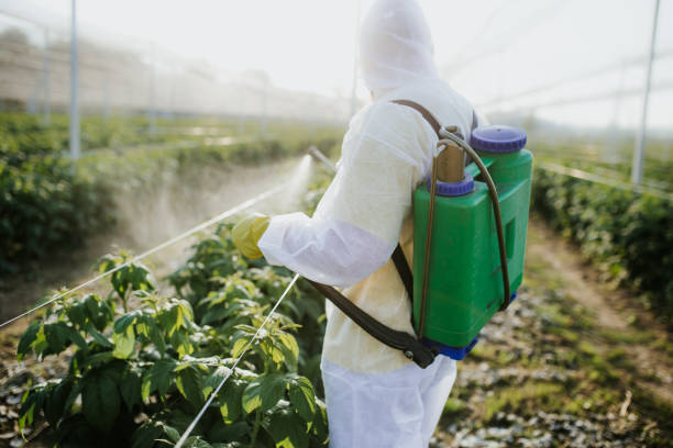 Best Best Pest Control Companies  in Lake Como, NJ
